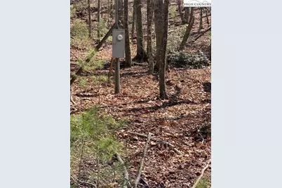 Tbd Starmount Lane, Sparta, NC 28675 - Photo 22