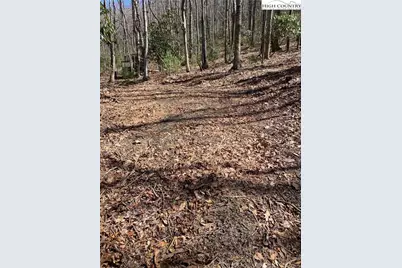 Tbd Starmount Lane, Sparta, NC 28675 - Photo 18