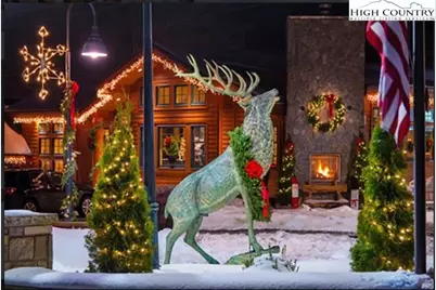 515 Grey Fox Ridge Road, Banner Elk, NC 28604 - Photo 22