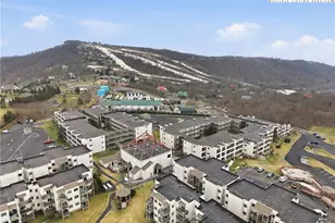 301 Pinnacle Inn Rd, Beech Mountain, NC 28604 - Photo 30