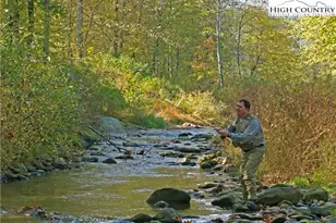 446 Peaceful Haven Dr, Boone, NC 28607 - Photo 38