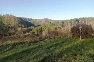 317 Pete's Hill Rd, Lansing, NC 28643 - Photo 2