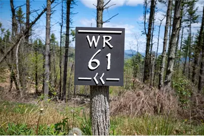 Wr-61 Clouds Rest Drive, Elk Park, NC 28622 - Photo 1