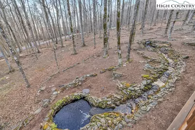 632 Big Tree Road, West Jefferson, NC 28694 - Photo 10