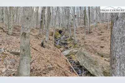 632 Big Tree Road, West Jefferson, NC 28694 - Photo 42