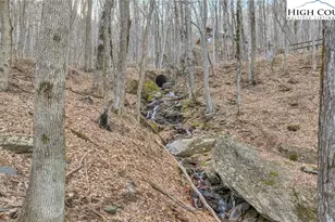 632 Big Tree Rd, West Jefferson, NC 28694 - Photo 42