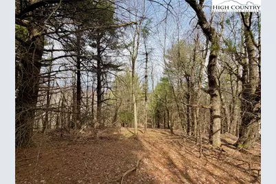 Tbd Grandview Drive, Boone, NC 28607 - Photo 22