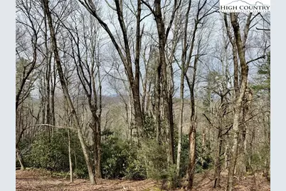 Tbd Grandview Drive, Boone, NC 28607 - Photo 26