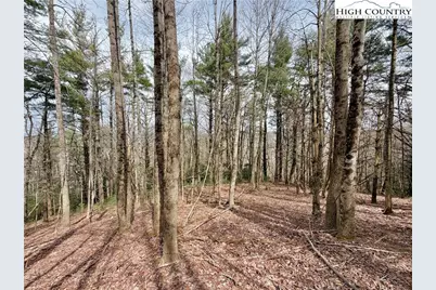 Tbd Grandview Drive, Boone, NC 28607 - Photo 26