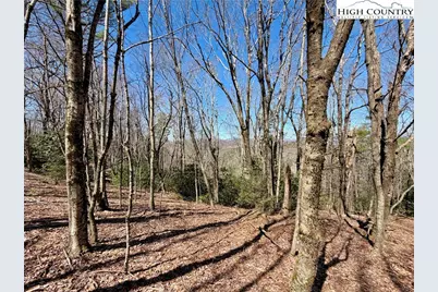 Tbd Grandview Drive, Boone, NC 28607 - Photo 40