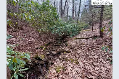 Tbd Grandview Drive, Boone, NC 28607 - Photo 30