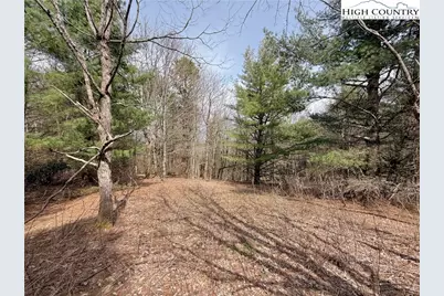 Tbd Grandview Drive, Boone, NC 28607 - Photo 20
