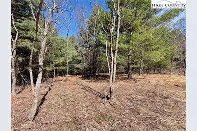 Tbd Grandview Drive, Boone, NC 28607 - Photo 34
