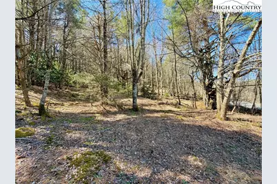 Tbd George Hayes Road, Boone, NC 28607 - Photo 16