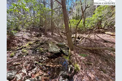 Tbd George Hayes Road, Boone, NC 28607 - Photo 18