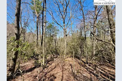 Tbd George Hayes Road, Boone, NC 28607 - Photo 20