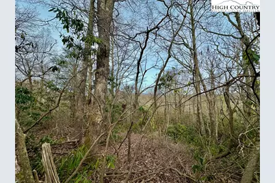 Tbd George Hayes Road, Boone, NC 28607 - Photo 14