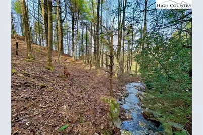 Tbd George Hayes Road, Boone, NC 28607 - Photo 12