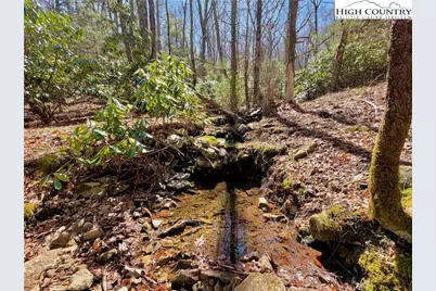 Tbd George Hayes Road, Boone, NC 28607 - Photo 2