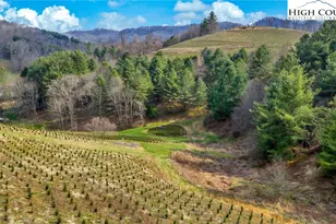 369 Spencer Branch Rd, Lansing, NC 28643 - Photo 46