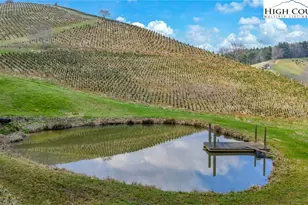 369 Spencer Branch Rd, Lansing, NC 28643 - Photo 8