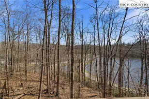 154 Lady Slipper Loop, Newland, NC 28657 - Photo 2