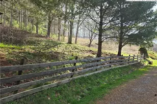 3160 Roundabout Rd, Creston, NC 28615 - Photo 10