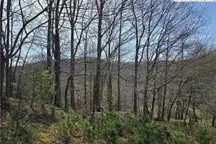 3160 Roundabout Rd, Creston, NC 28615 - Photo 42