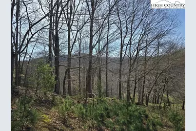 3160 Roundabout Road, Creston, NC 28615 - Photo 44