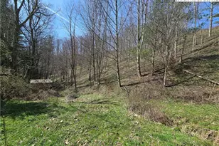 3160 Roundabout Rd, Creston, NC 28615 - Photo 38