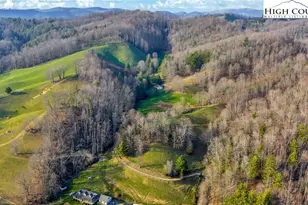 3160 Roundabout Rd, Creston, NC 28615 - Photo 8