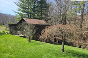 3160 Roundabout Rd, Creston, NC 28615 - Photo 12