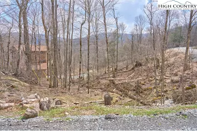 101 Foxgrape Hollow Road, Beech Mountain, NC 28604 - Photo 1