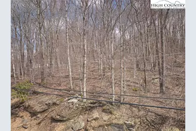 217 Overbrook Trail, Beech Mountain, NC 28604 - Photo 1