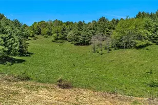1607 & 1567 Will Vannoy Rd, West Jefferson, NC 28694 - Photo 12