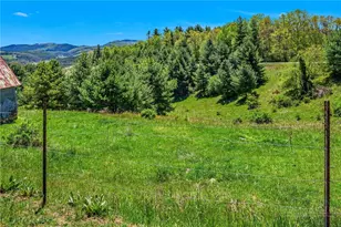 1607 & 1567 Will Vannoy Rd, West Jefferson, NC 28694 - Photo 40