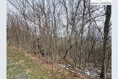 Lot 6 Chappell Farms North, Banner Elk, NC 28604 - Photo 20
