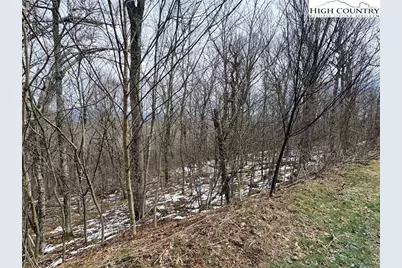 Lot 6 Chappell Farms North, Banner Elk, NC 28604 - Photo 22