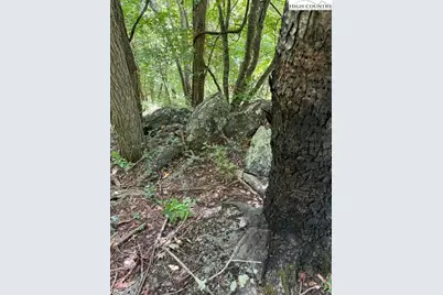 Tbd Black Rock Mountain Rd., Independence, VA 24348 - Photo 4