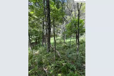 Tbd Black Rock Mountain Rd., Independence, VA 24348 - Photo 2