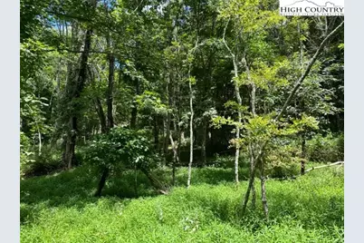 Tbd Black Rock Mountain Rd., Independence, VA 24348 - Photo 8