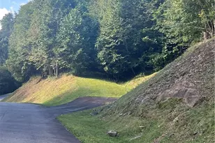 172 Hump View Trail, Banner Elk, NC 28604 - Photo 1