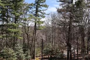 488 Meadow View Rd, Roaring Gap, NC 28668 - Photo 30