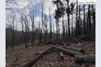 Tbd Wildcat Wilderness Parkway, Deep Gap, NC 28618 - Photo 6