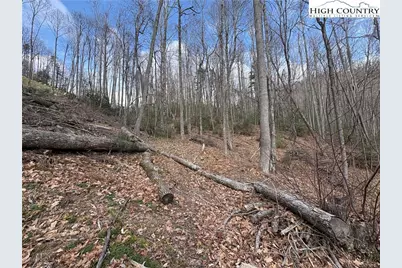 Tbd Wildcat Wilderness Parkway, Deep Gap, NC 28618 - Photo 8