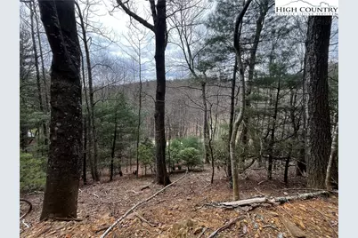 Lot 16 Bear Creek Lane, Deep Gap, NC 28618 - Photo 8