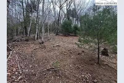 Lot 16 Bear Creek Lane, Deep Gap, NC 28618 - Photo 4