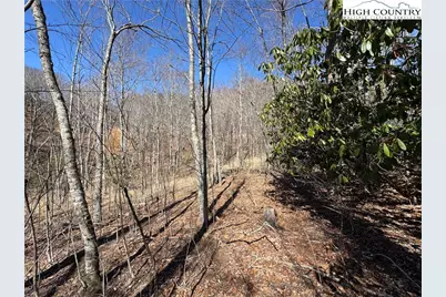Tbd Lot # 70 Tall Tree Lane, Banner Elk, NC 28604 - Photo 22