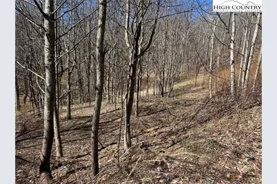 Tbd Tall Tree Lane #70, Banner Elk, NC 28604 - Photo 8