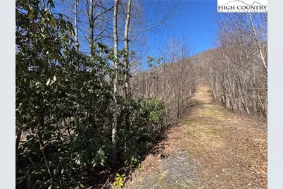 Tbd Lot # 70 Tall Tree Lane, Banner Elk, NC 28604 - Photo 14